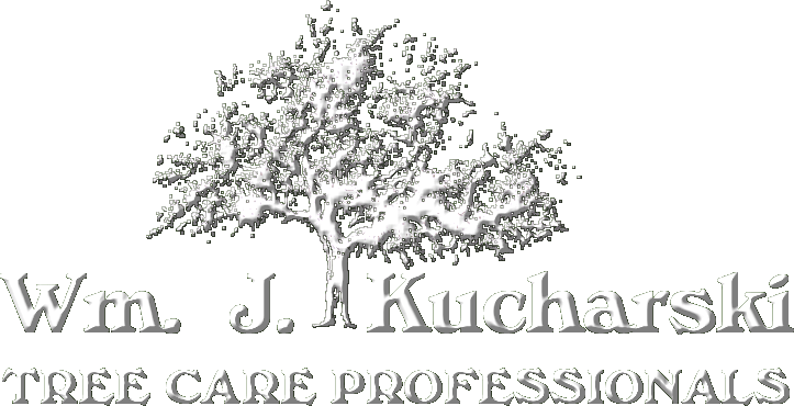 Wm. J. Kucharski Tree Care Professionals