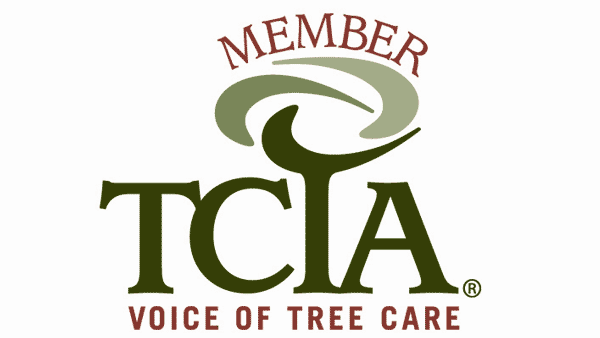 Member of TCIA